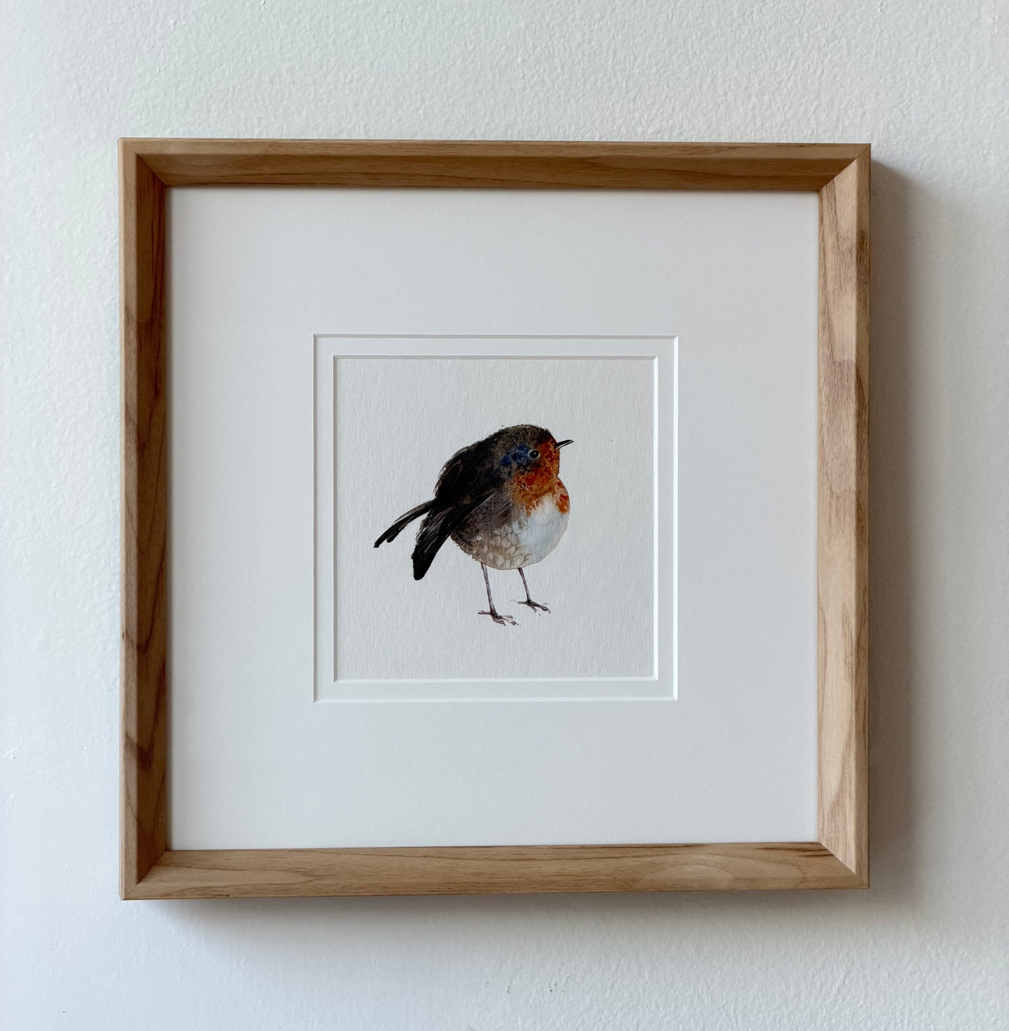 Erithacus rubecula (small but bold)