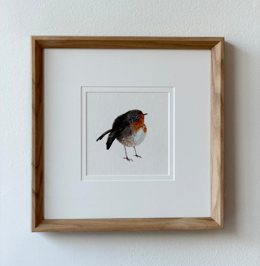 Erithacus rubecula (small but bold)