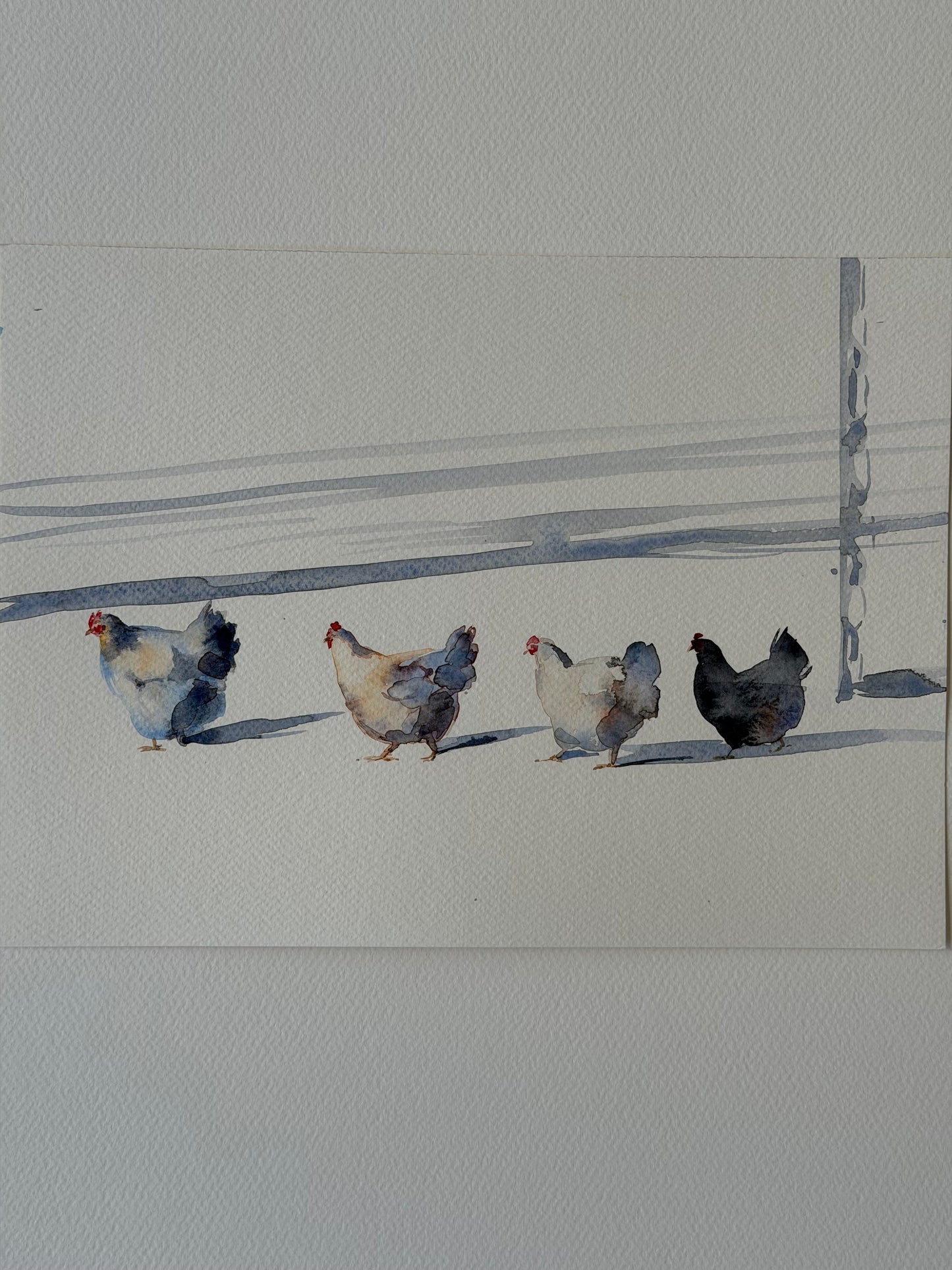 Hens in the Snow
