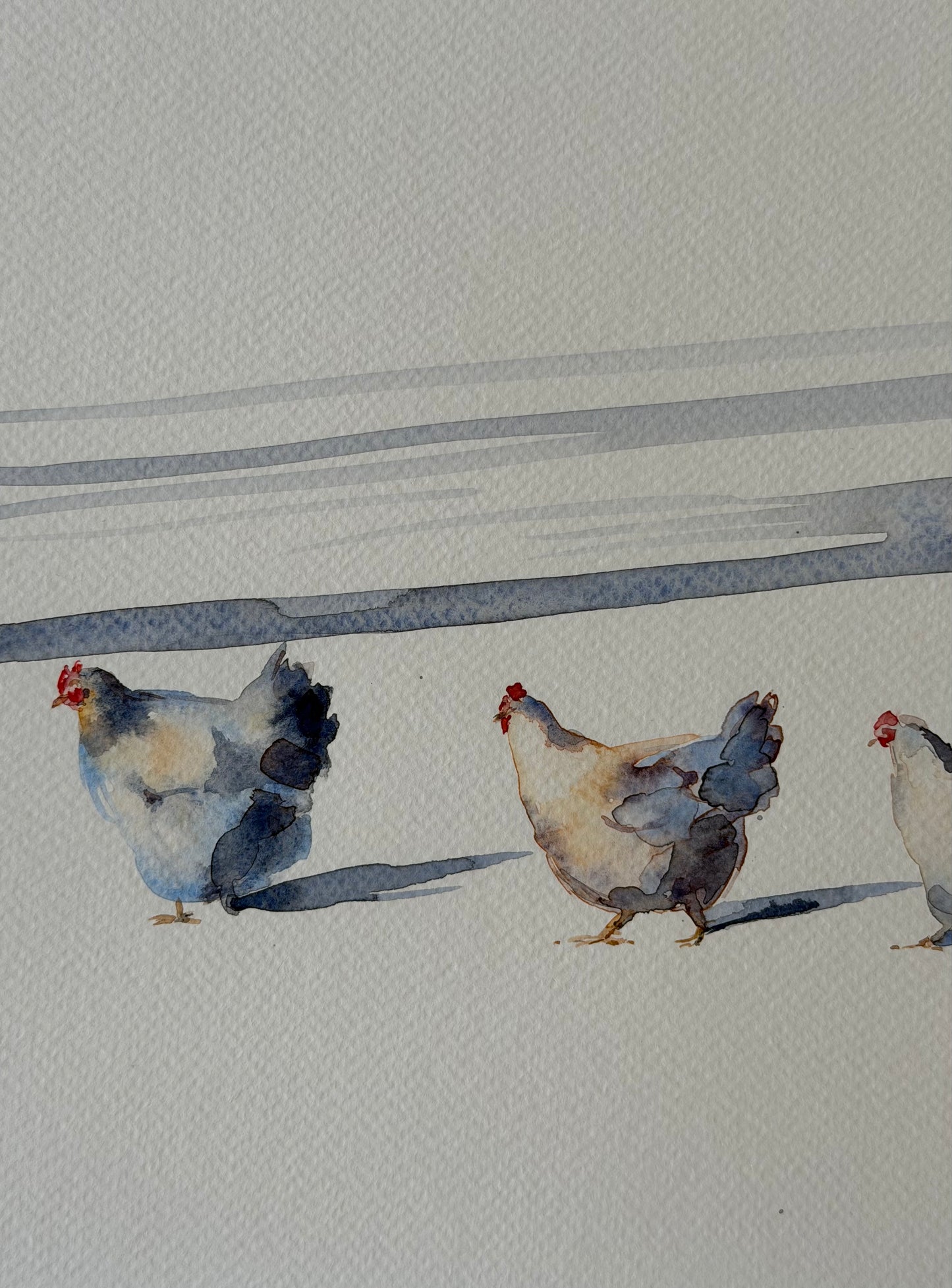 Hens in the Snow