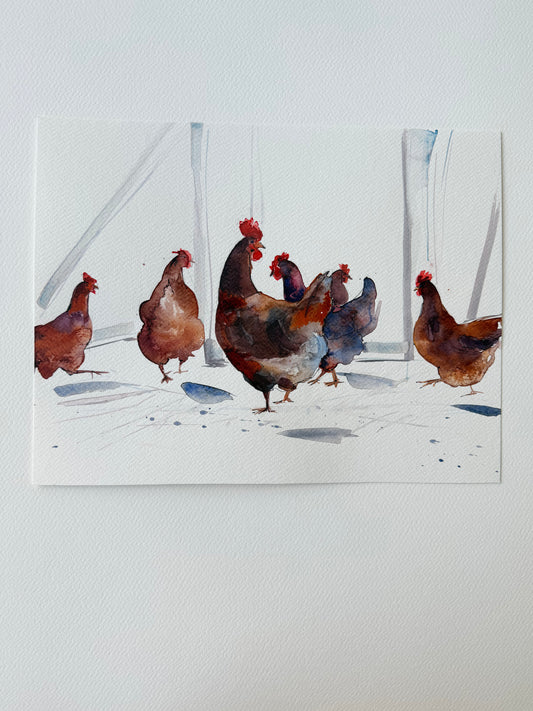 Red hens