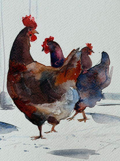 Red hens