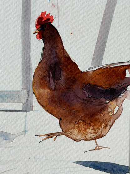 Red hens