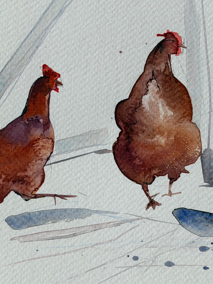 Red hens