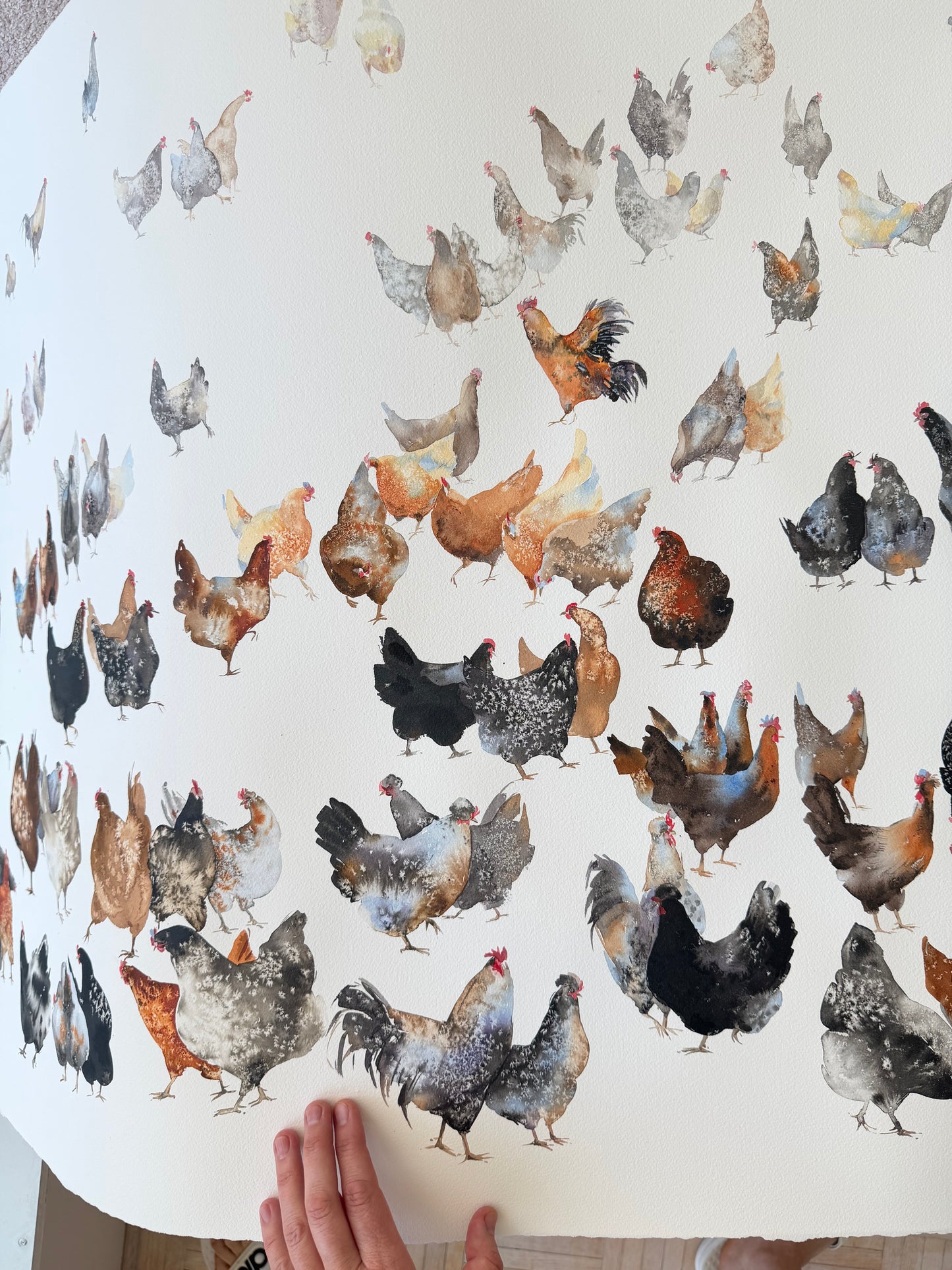 A Flock of Characters