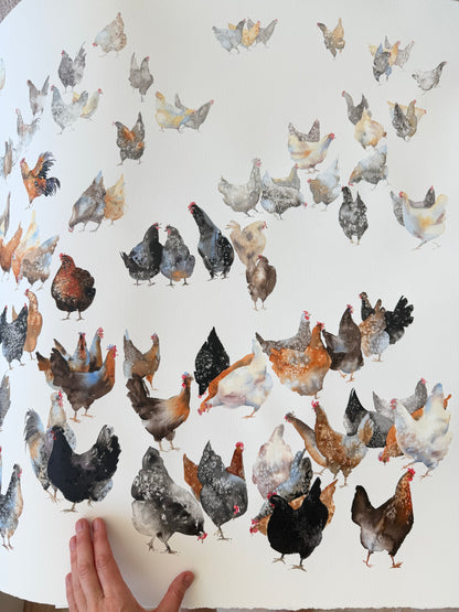 A Flock of Characters