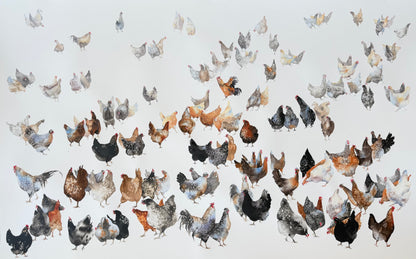 A Flock of Characters
