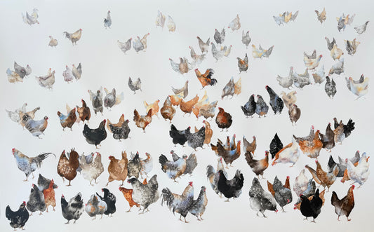 A Flock of Characters