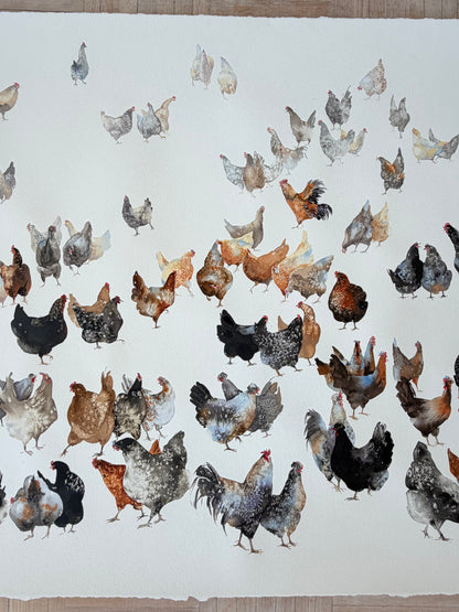 A Flock of Characters