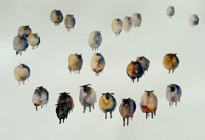 Woolly Gathering