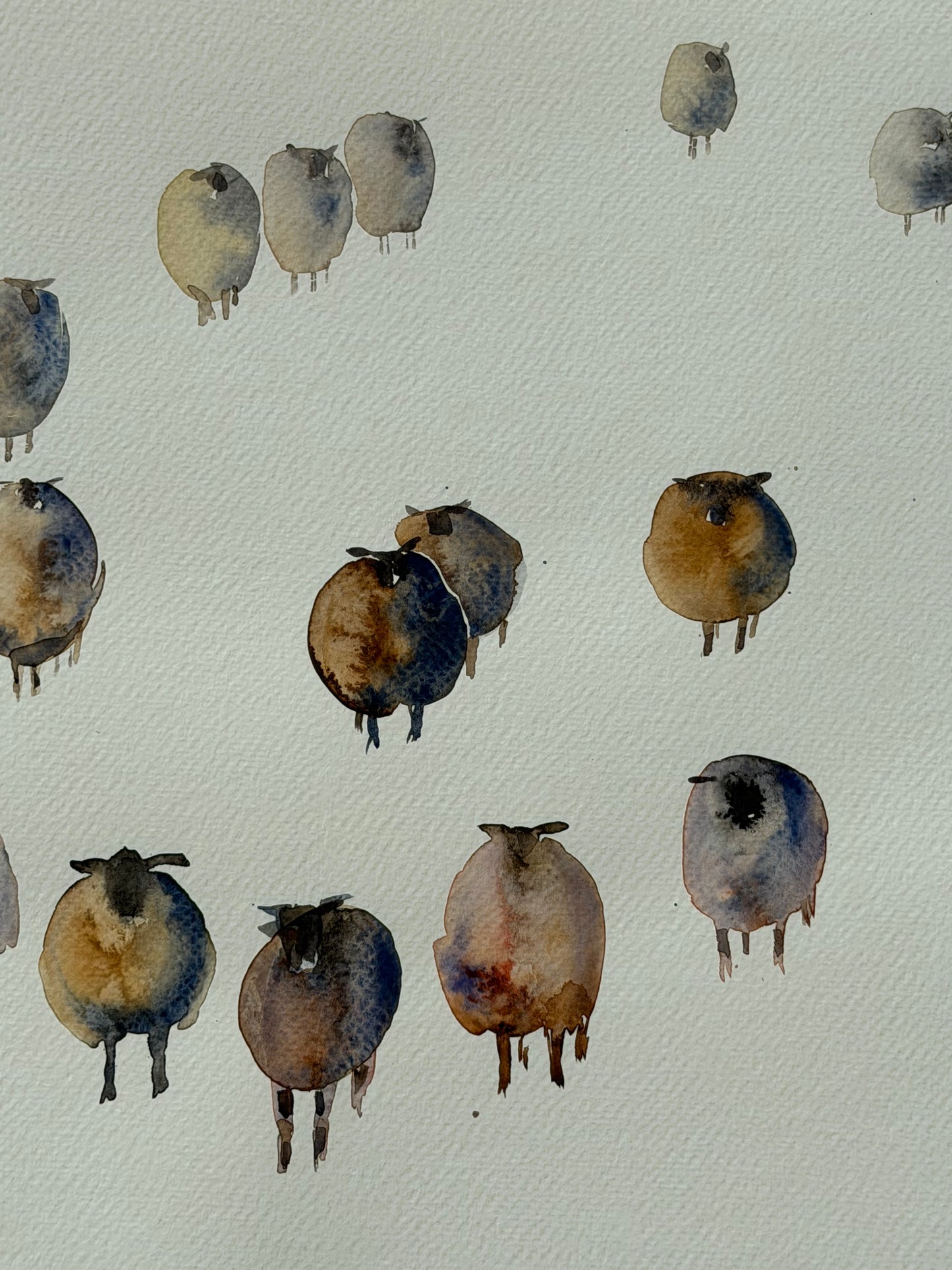Woolly Gathering