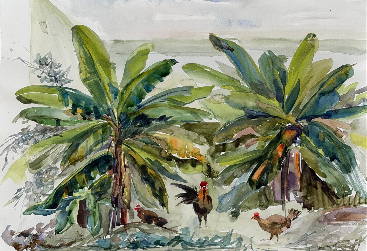 The Dominican Chickens