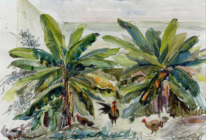The Dominican Chickens
