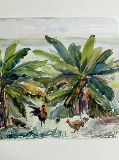 The Dominican Chickens