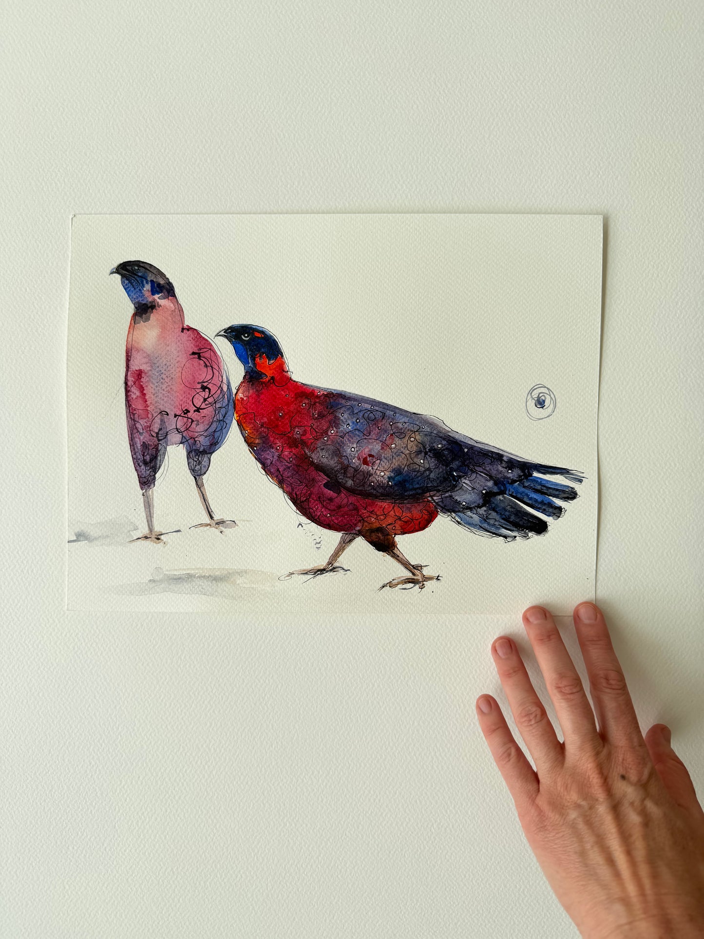 Satyr Tragopans. A Crimson Pair