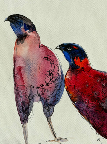 Satyr Tragopans. A Crimson Pair