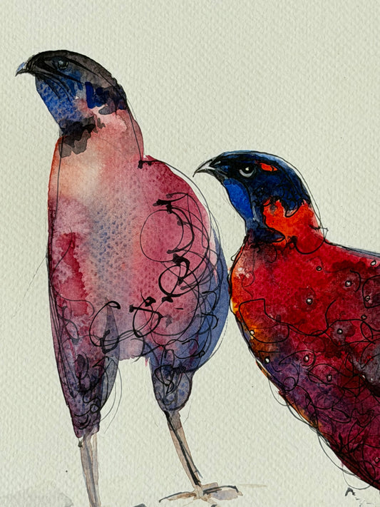 Satyr Tragopans. A Crimson Pair