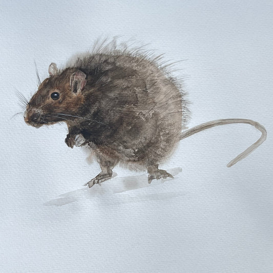 The Rat of Prosperity