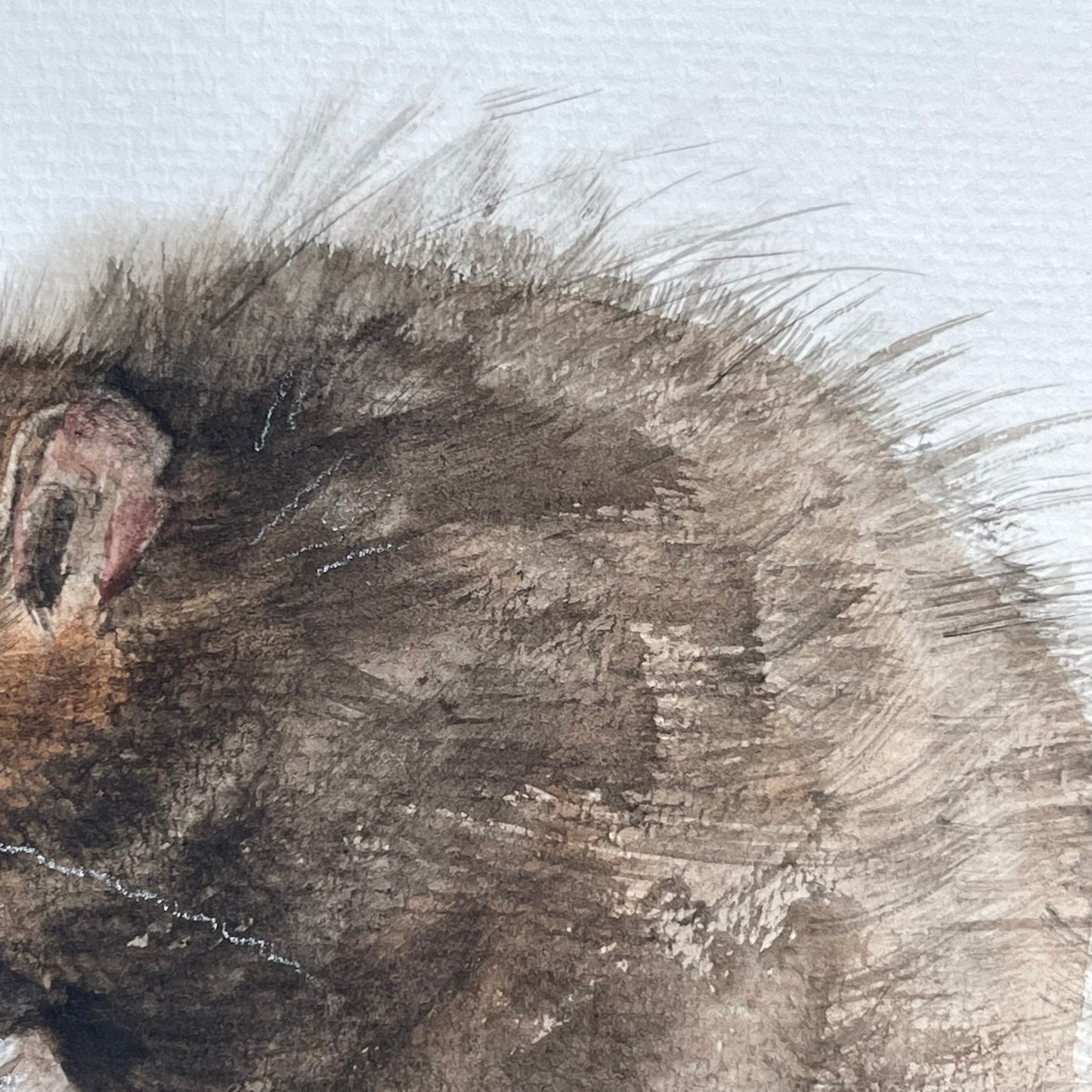 The Rat of Prosperity