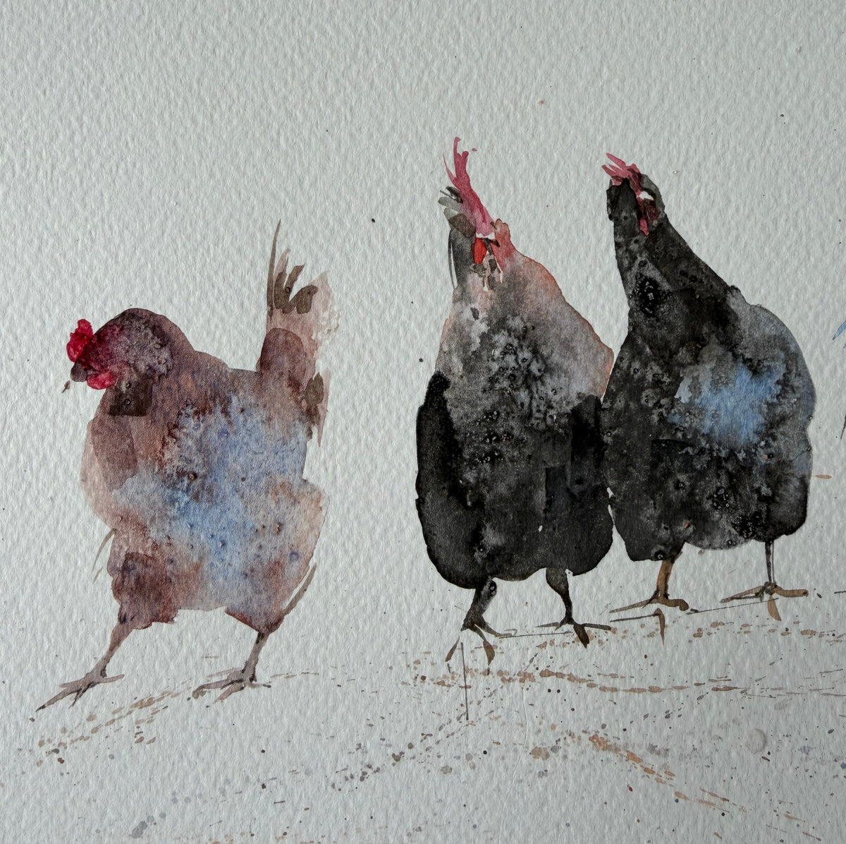 Chickens with Character