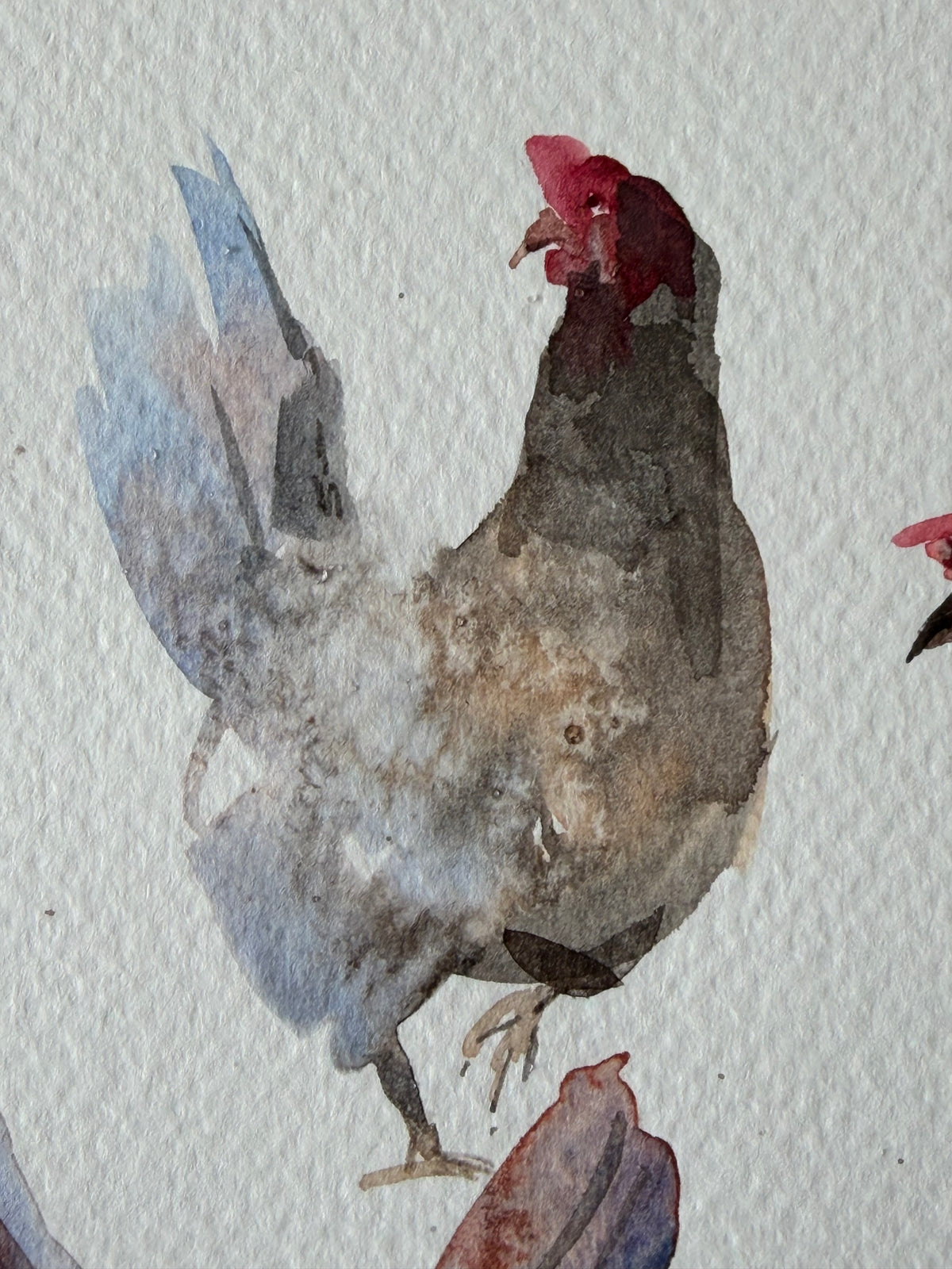 Chickens with Character