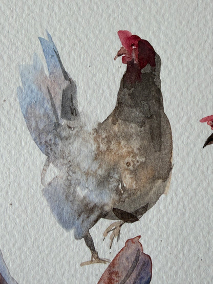 Chickens with Character