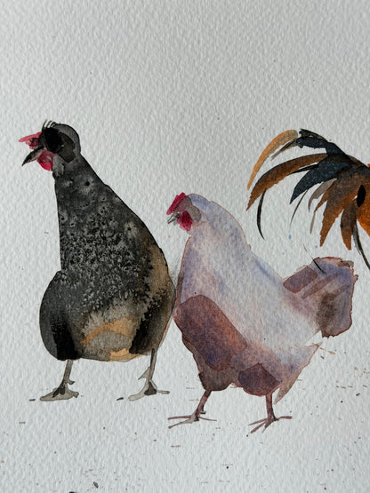 Chickens with Character