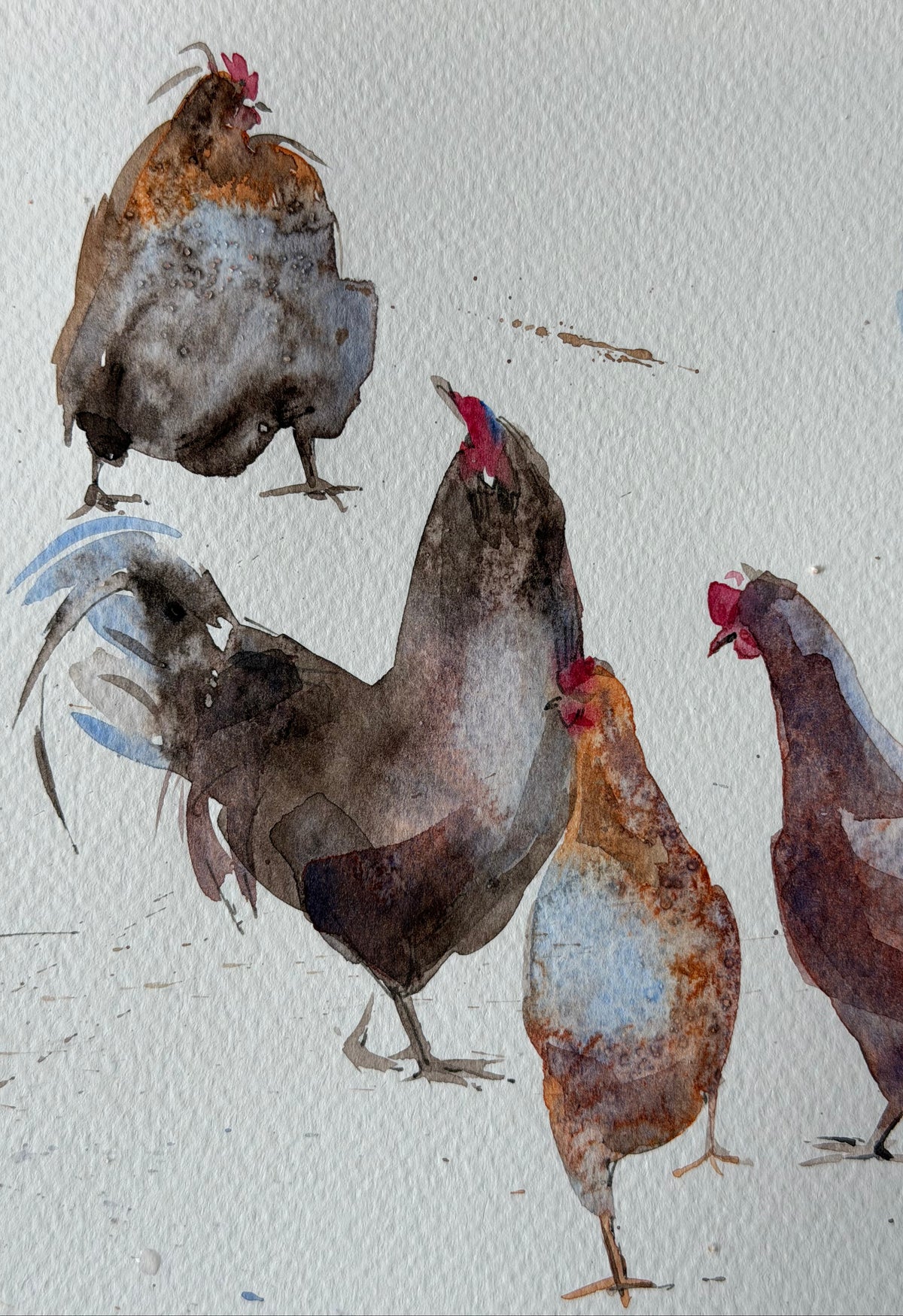 Chickens with Character