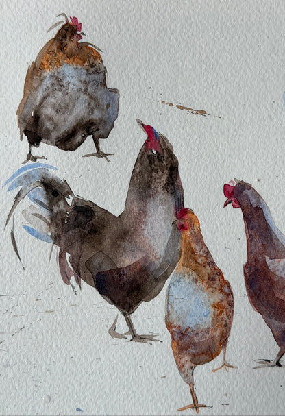 Chickens with Character