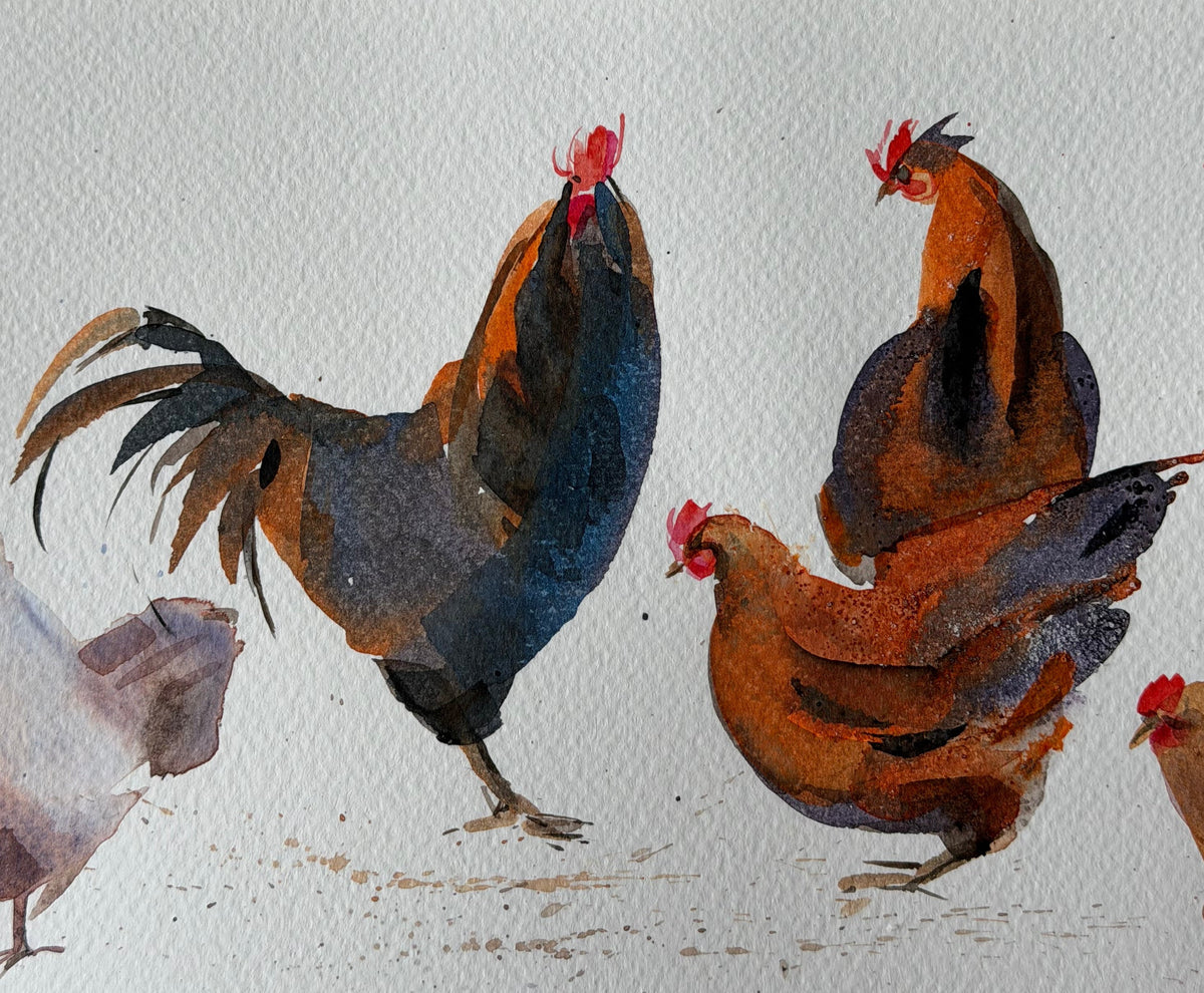 Chickens with Character