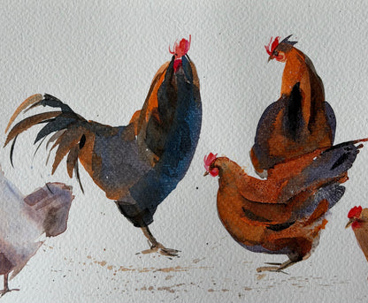 Chickens with Character