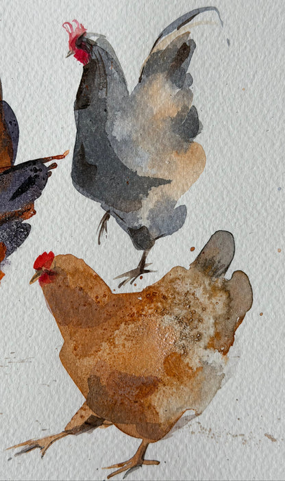 Chickens with Character
