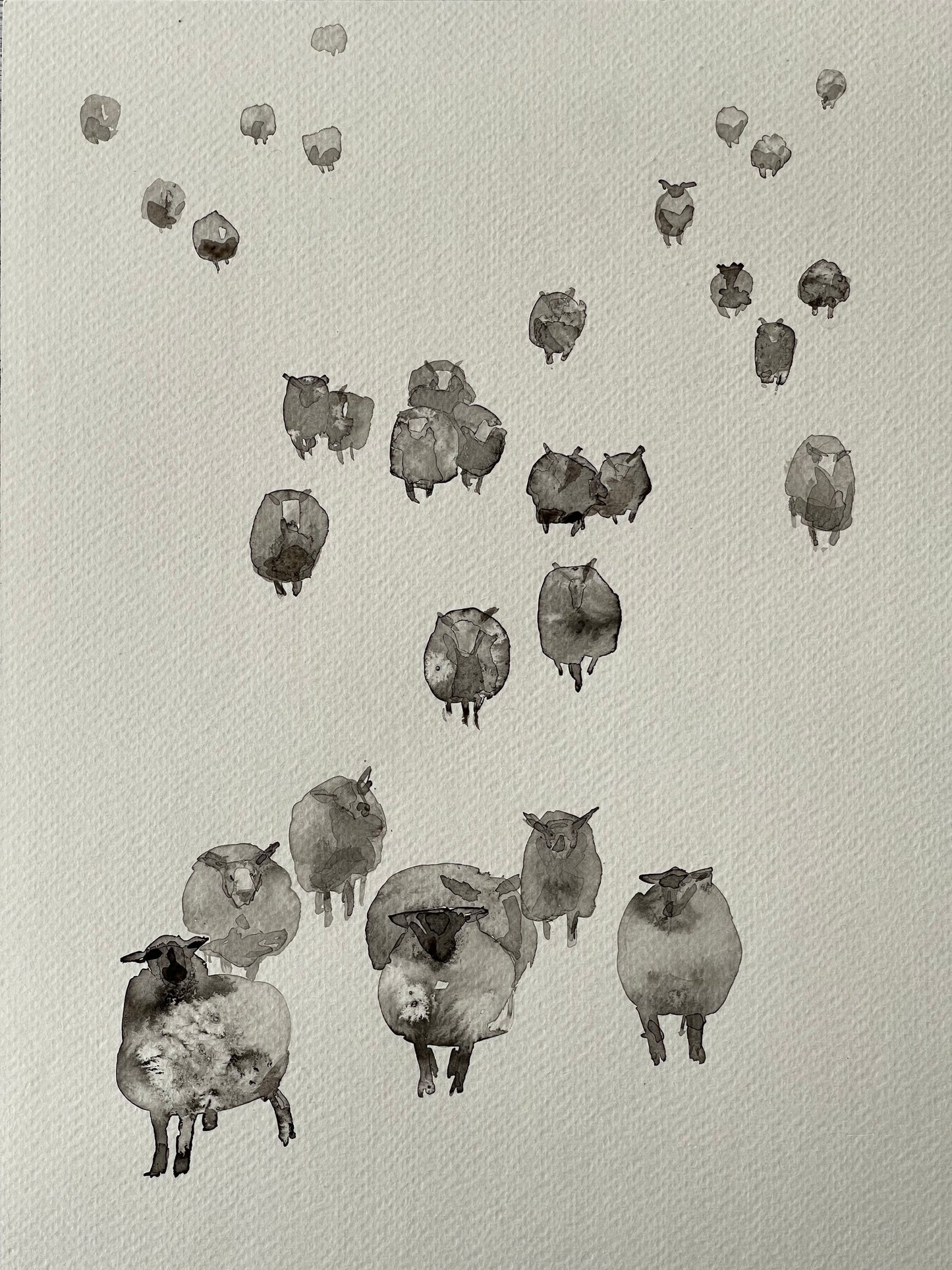 So many sheep