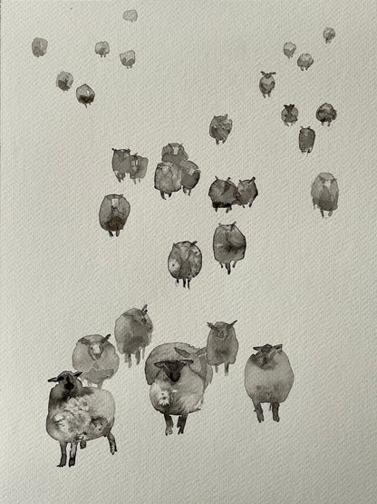 So many sheep