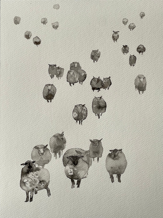 So many sheep