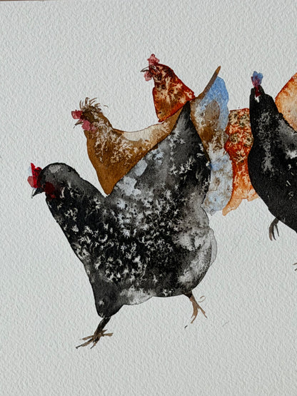 Local Residents