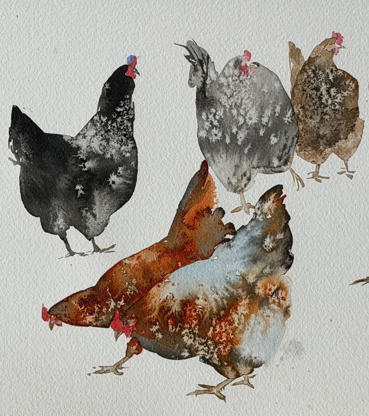 Local Residents