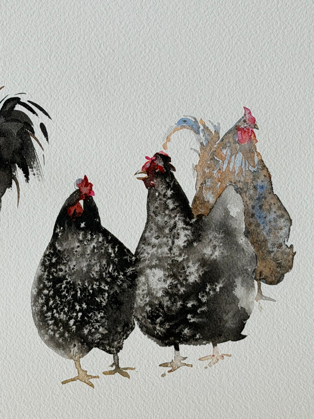 Local Residents