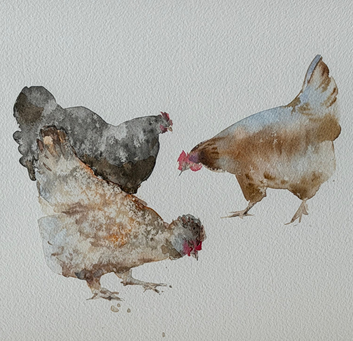 Local Residents