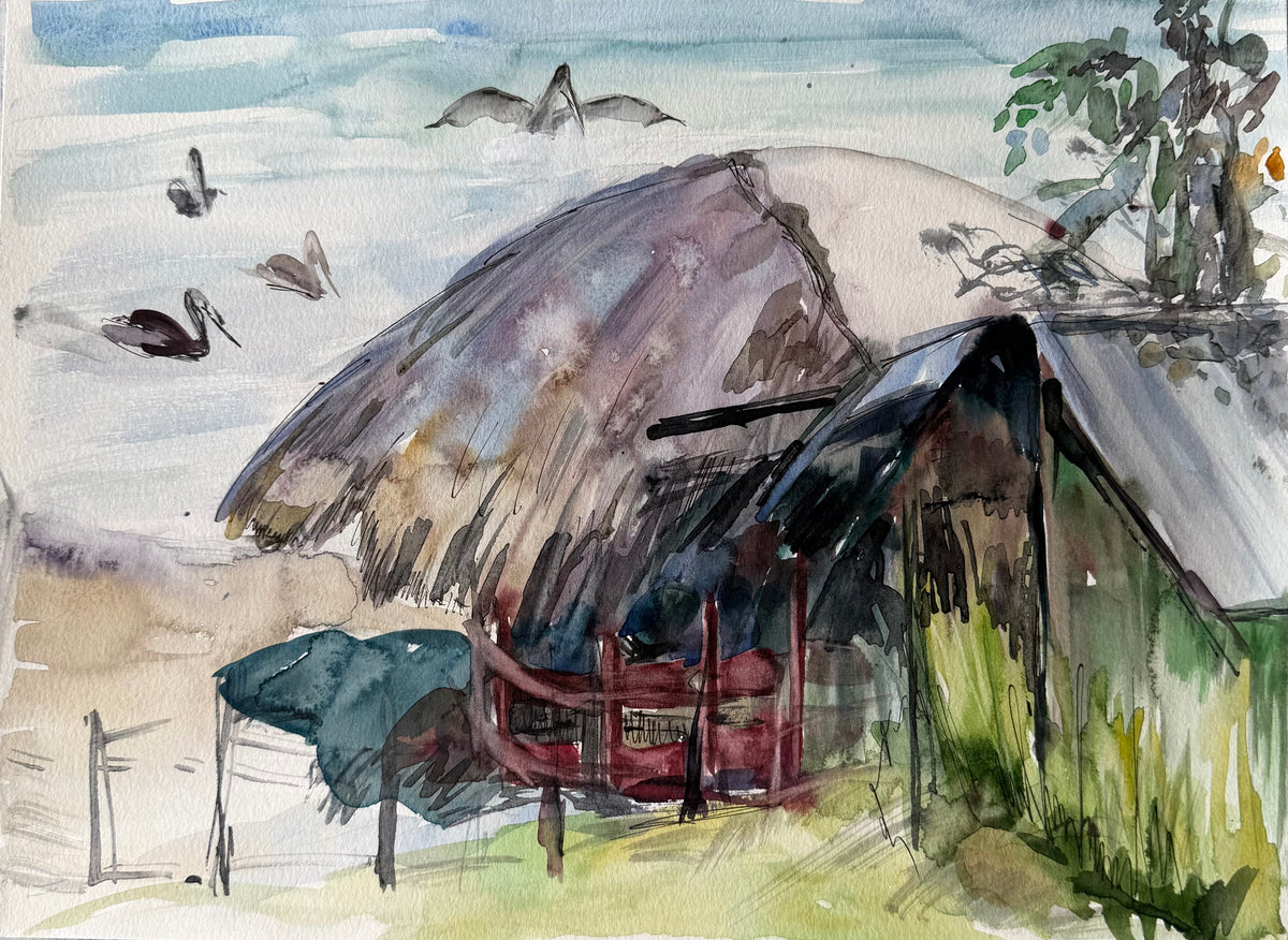 Pelicans by the Sea