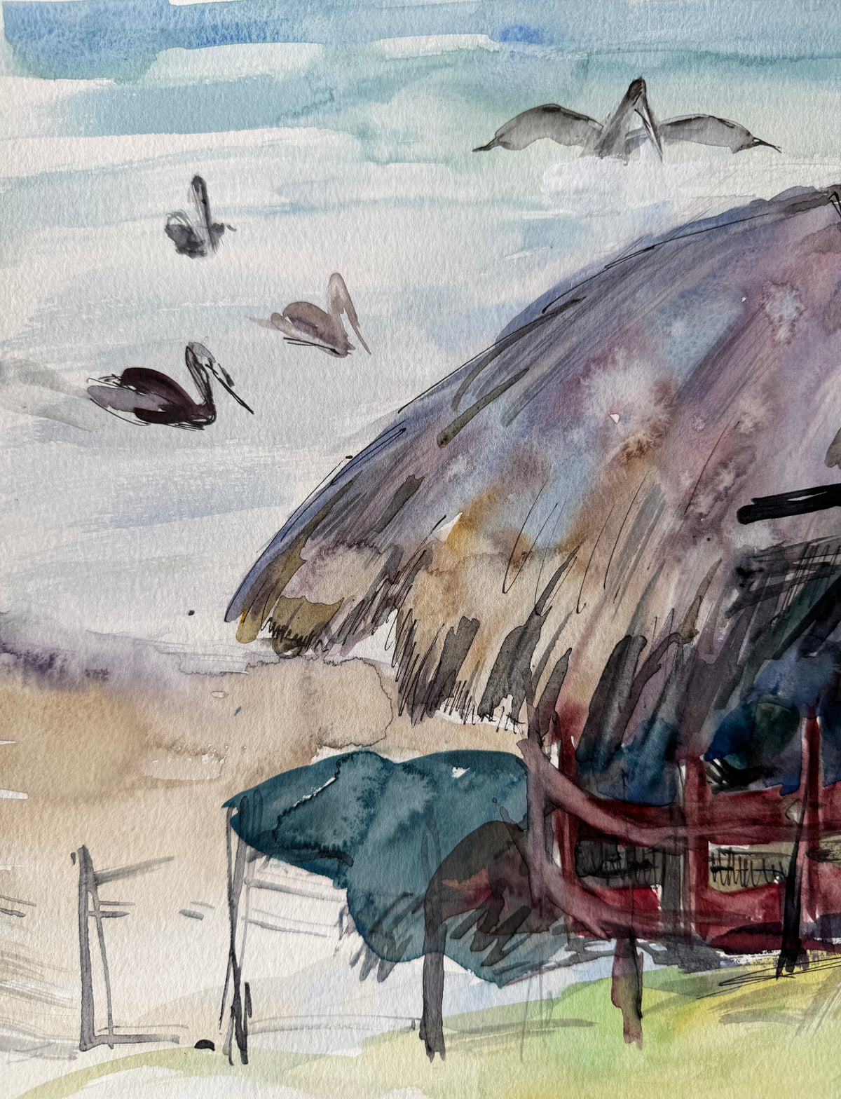 Pelicans by the Sea