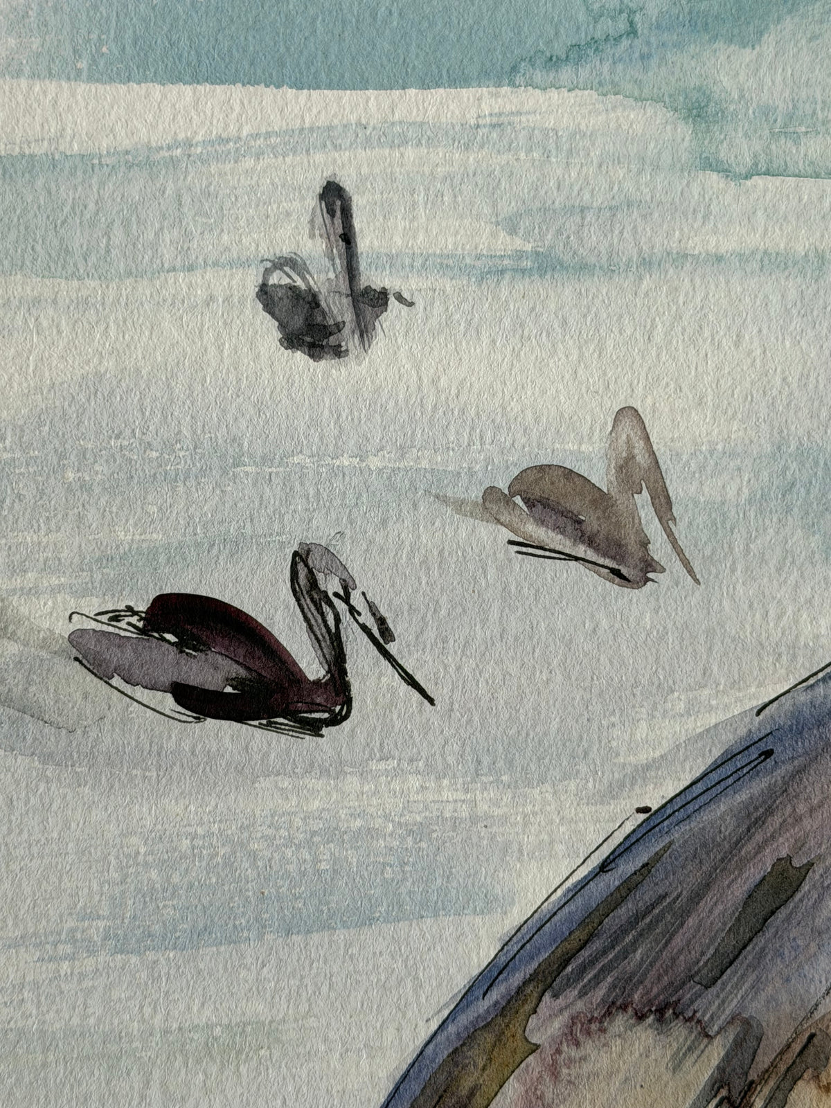 Pelicans by the Sea