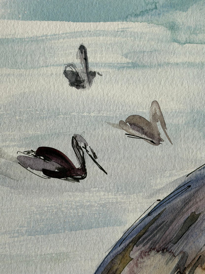 Pelicans by the Sea