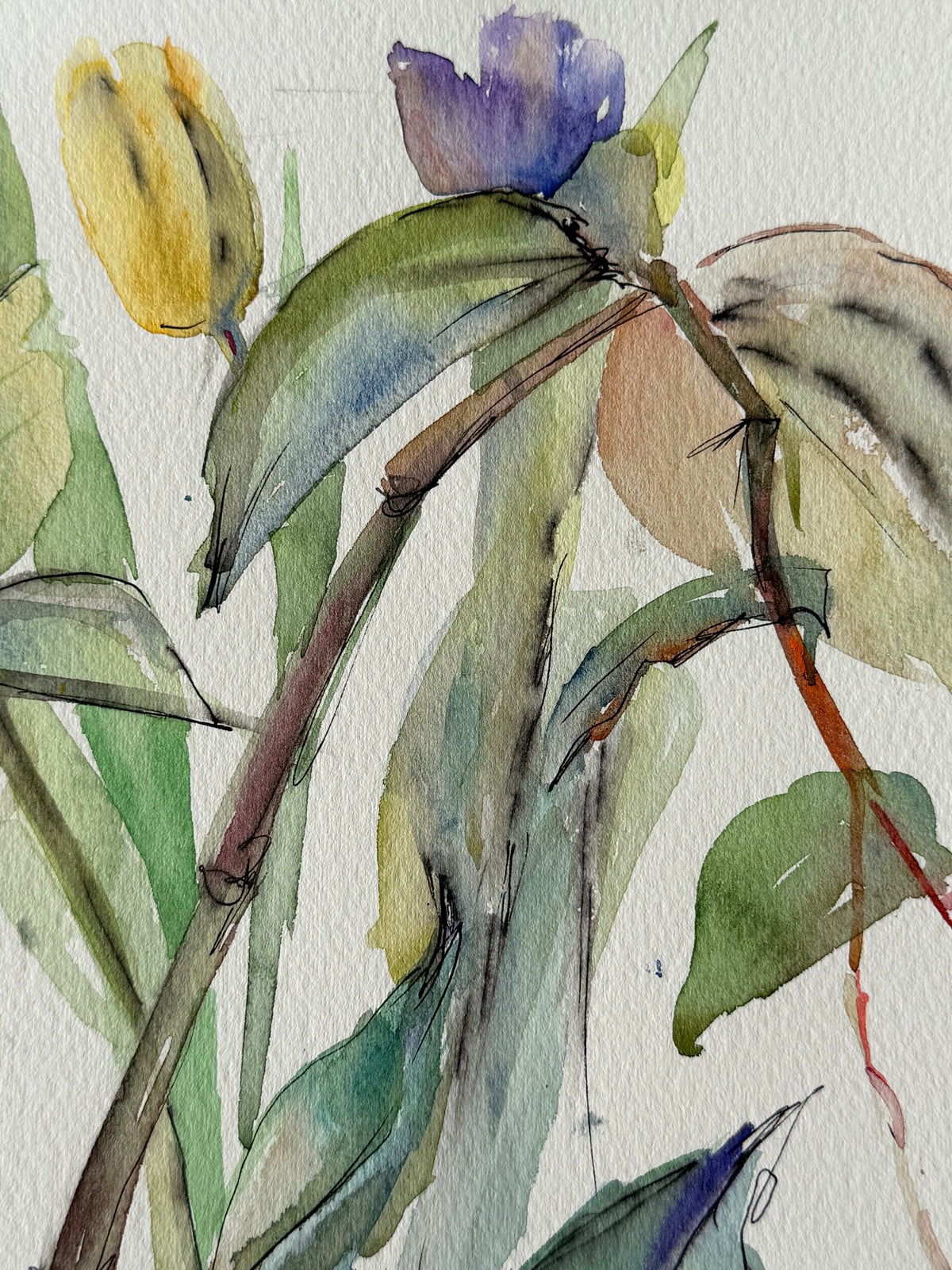 Flowers on the Windowsill