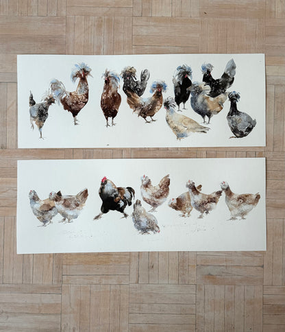 Seven  Hens, One Headache