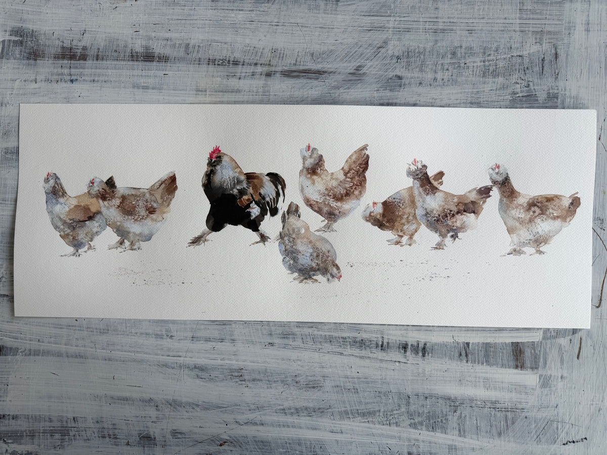 Seven  Hens, One Headache