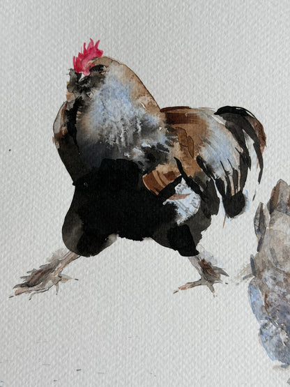 Seven  Hens, One Headache