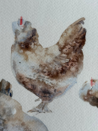 Seven  Hens, One Headache