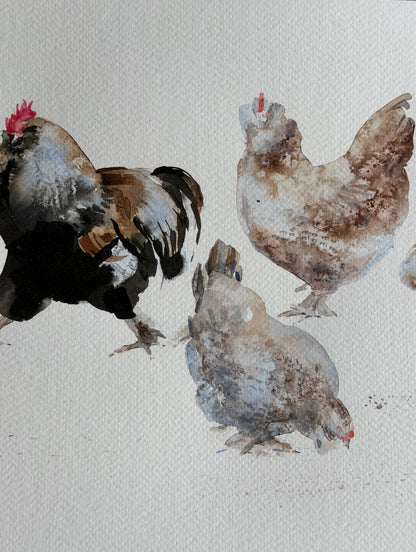 Seven  Hens, One Headache