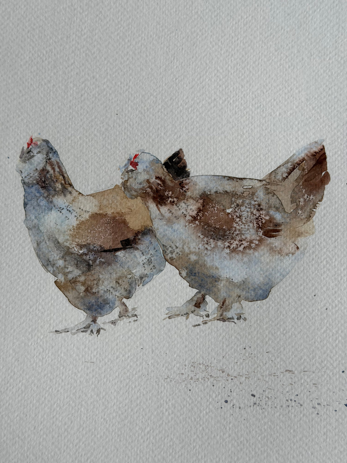 Seven  Hens, One Headache